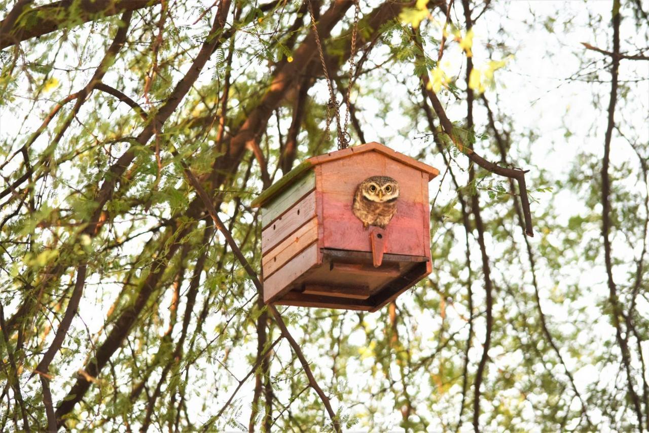 Ranthambhore Bagh Dwar Camp Khilchīpur Екстериор снимка